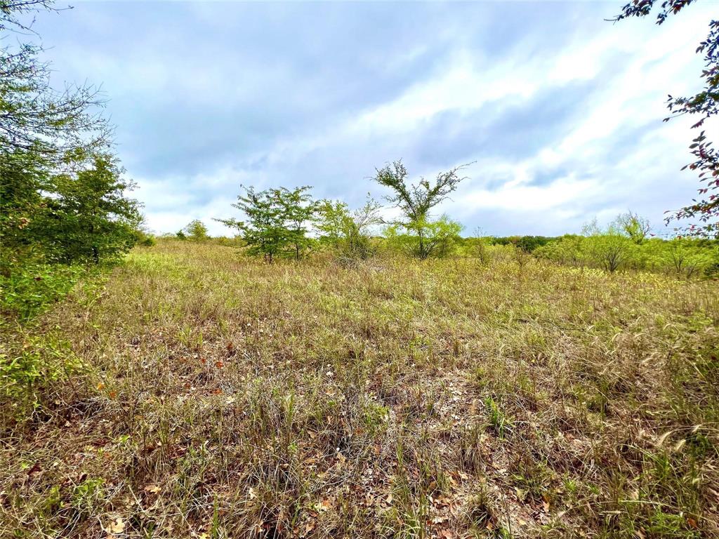 Tbd Tbd Cr-2117 Gainesville, TX 76240 - Photo 10 of 35