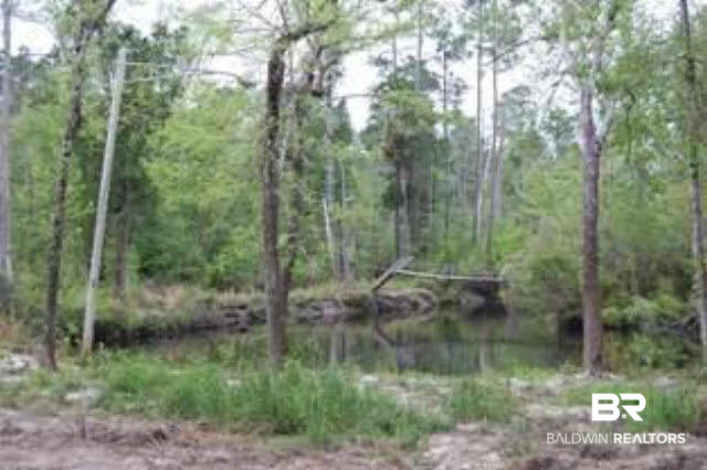 18871 Vaughn Road Seminole, AL 36574 - Photo 1 of 1