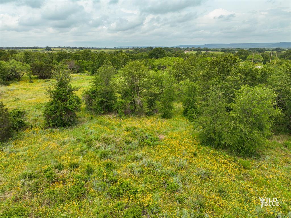 Lot 26 New Hope Road Palo Pinto, TX 76484 - Photo 11 of 33 View of local wilderness