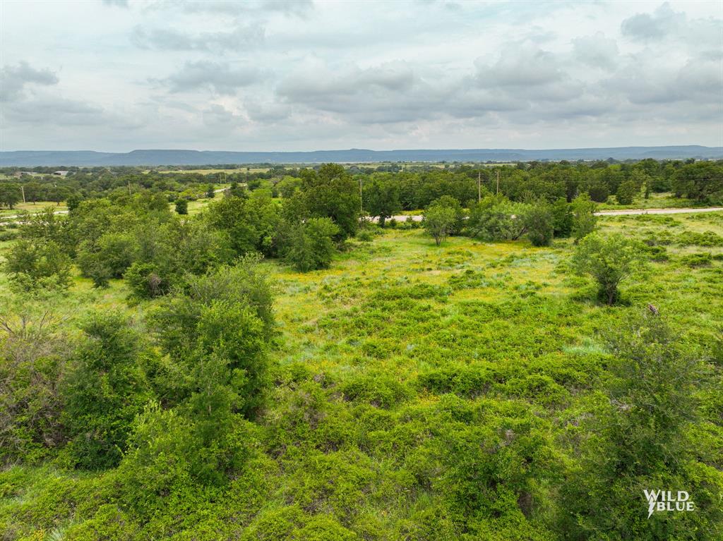 Lot 26 New Hope Road Palo Pinto, TX 76484 - Photo 16 of 33 View of mother earth's splendor
