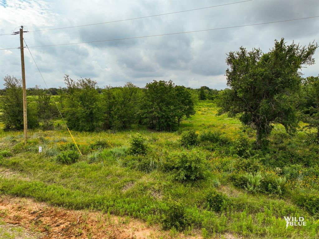 Lot 26 New Hope Road Palo Pinto, TX 76484 - Photo 19 of 33 View of local wilderness