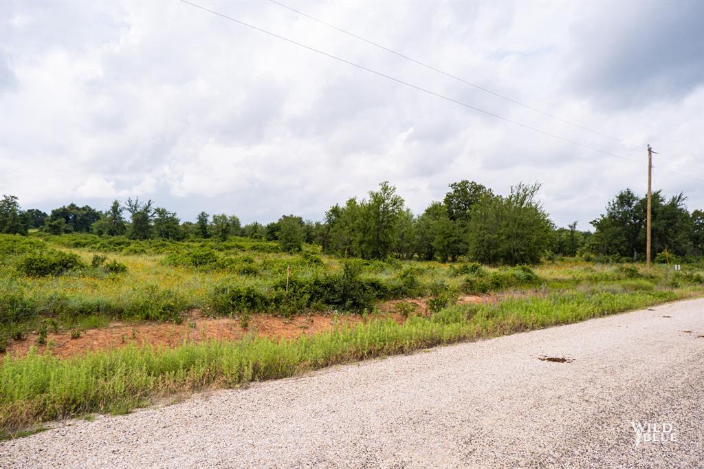 Lot 26 New Hope Road Palo Pinto, TX 76484 - Photo 30 of 33 View of street