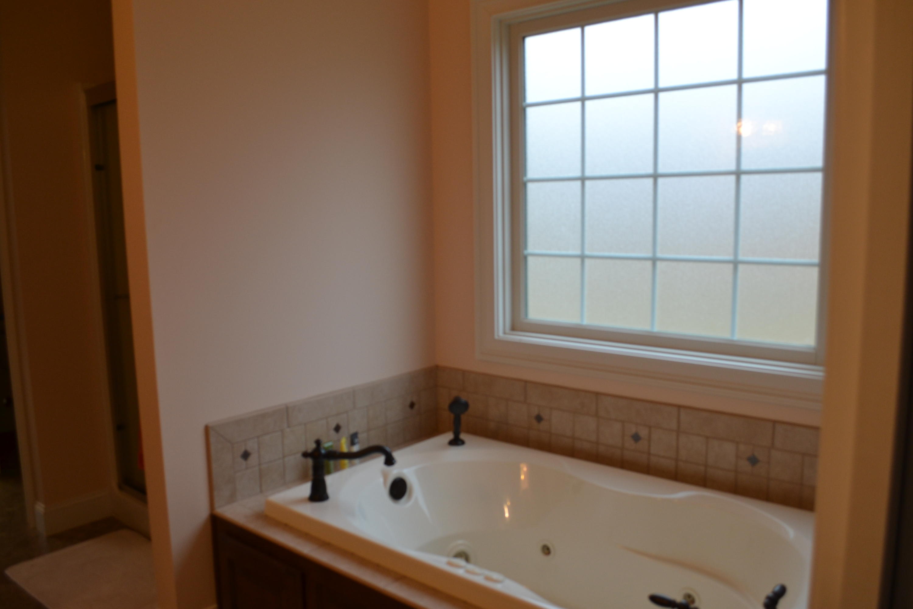 927 Goosepond Road Monterey, TN 38574 - Photo 14 of 39 Master Bath