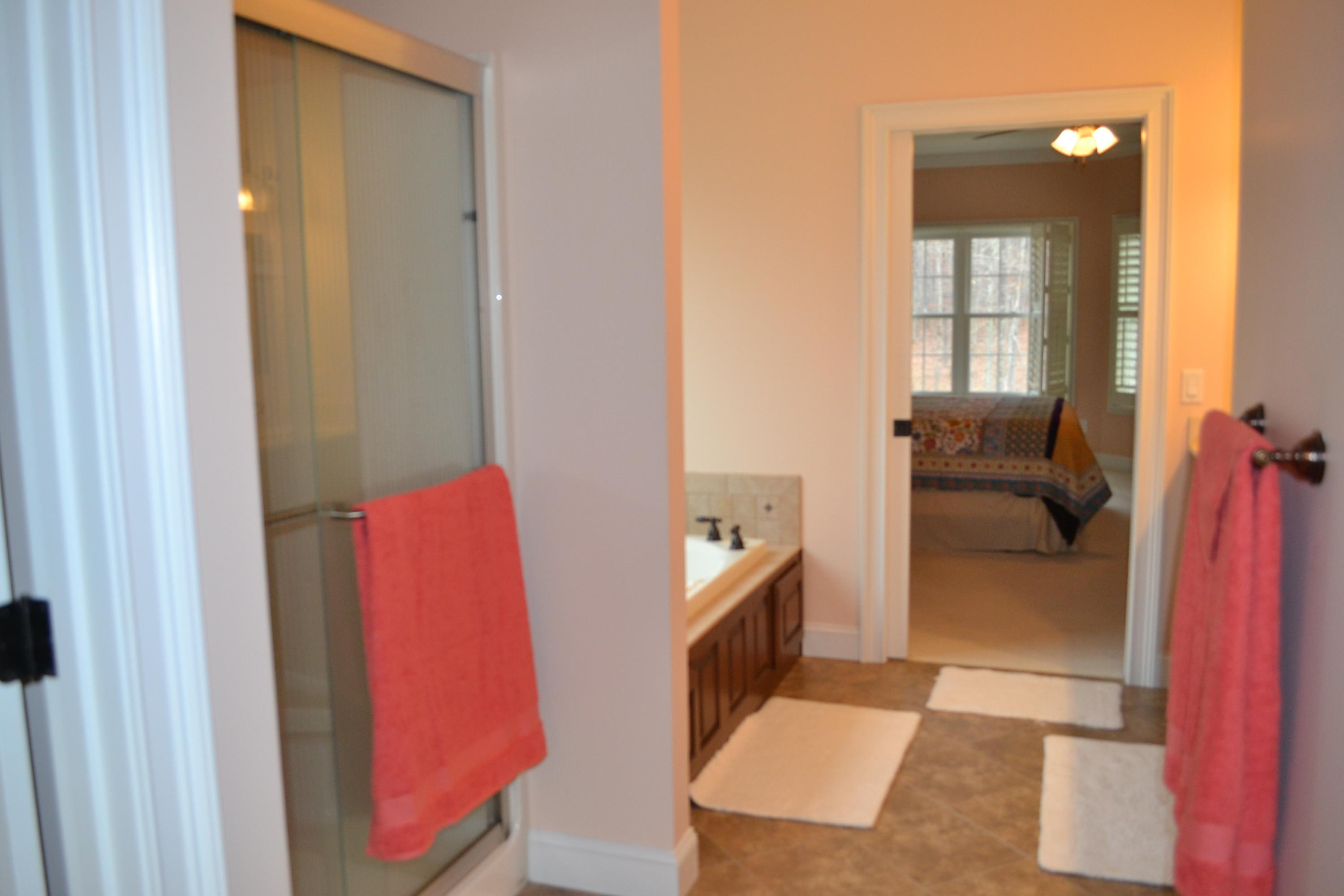 927 Goosepond Road Monterey, TN 38574 - Photo 16 of 39 Master Bath