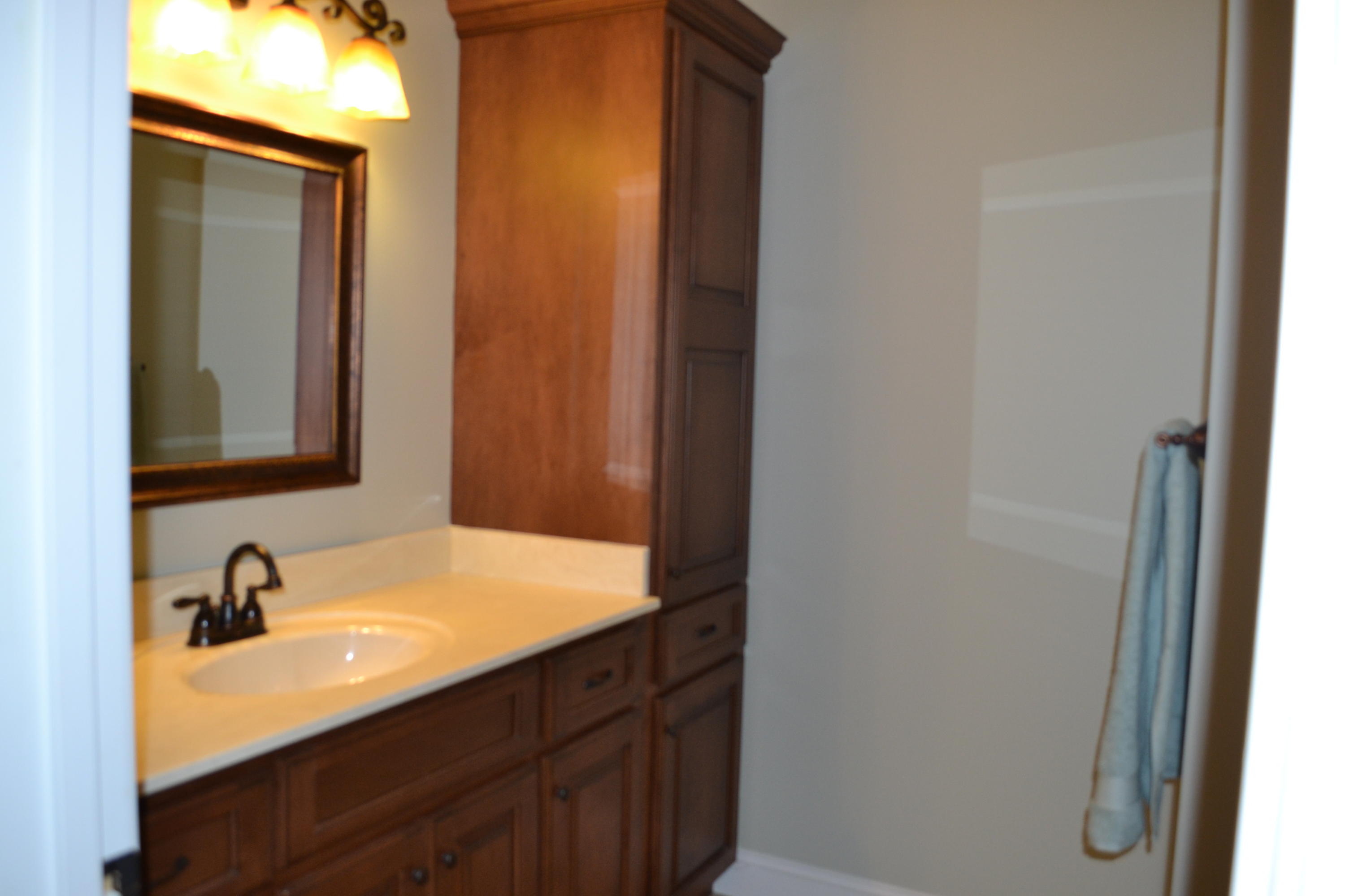 927 Goosepond Road Monterey, TN 38574 - Photo 22 of 39 Bath