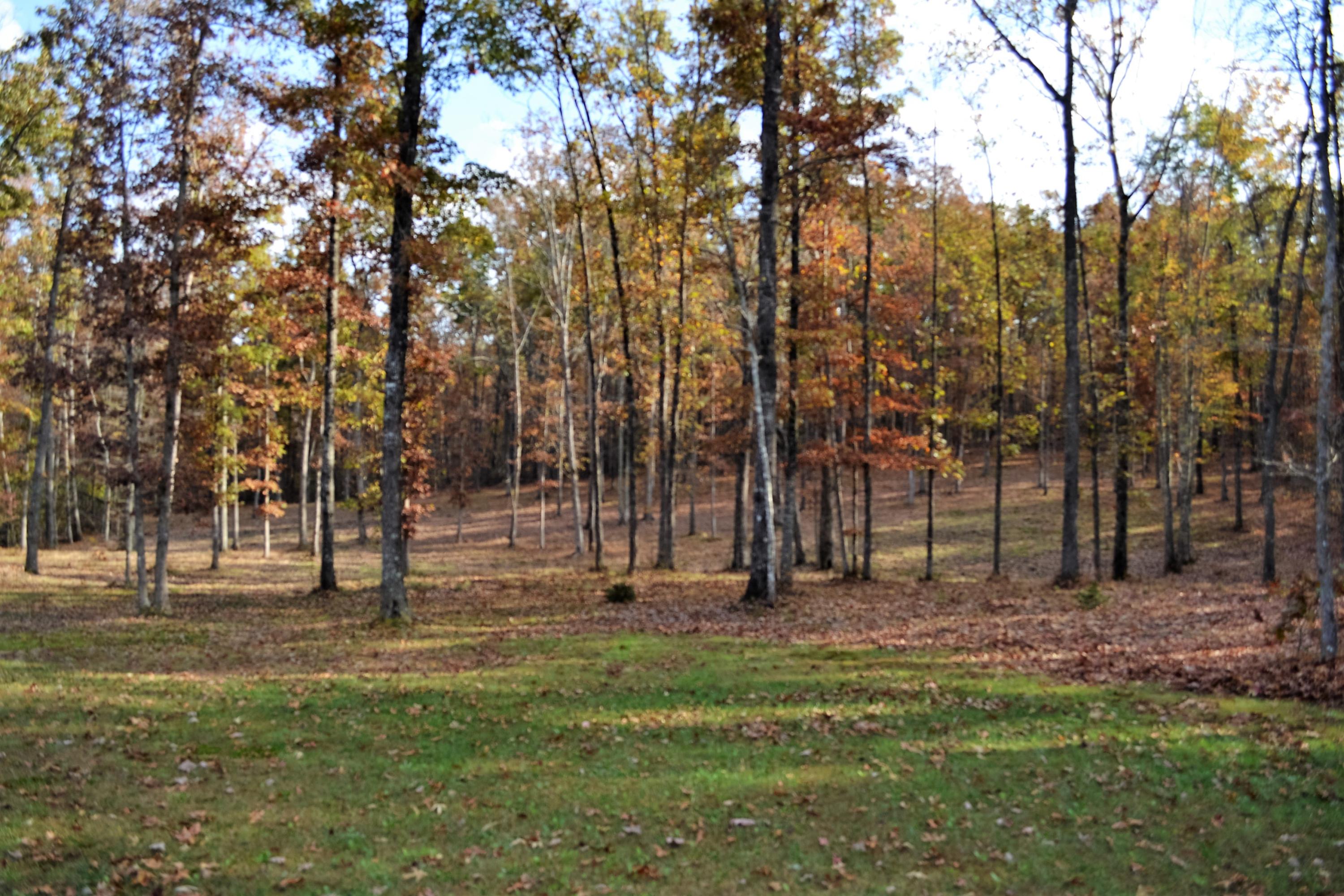 927 Goosepond Road Monterey, TN 38574 - Photo 38 of 39 Woods