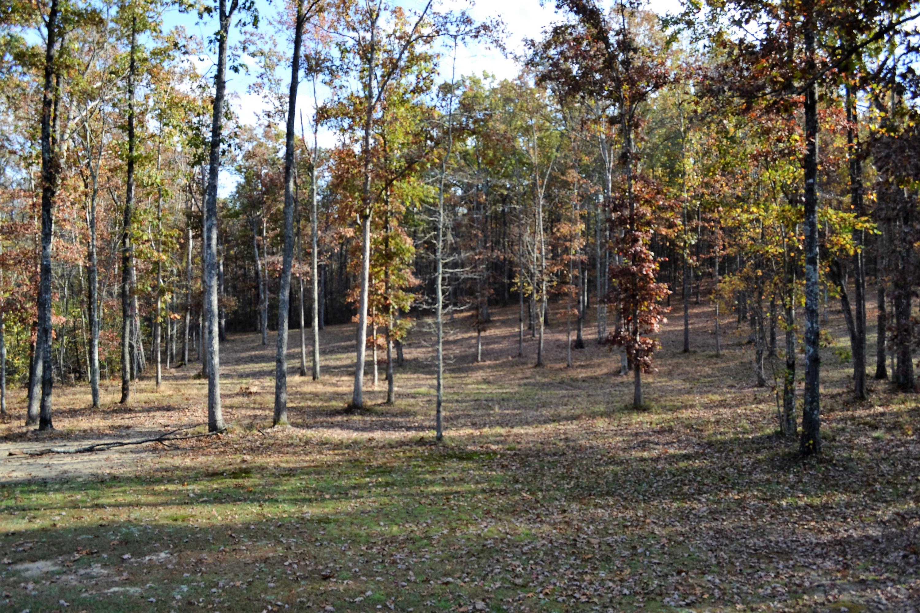 927 Goosepond Road Monterey, TN 38574 - Photo 39 of 39 Woods