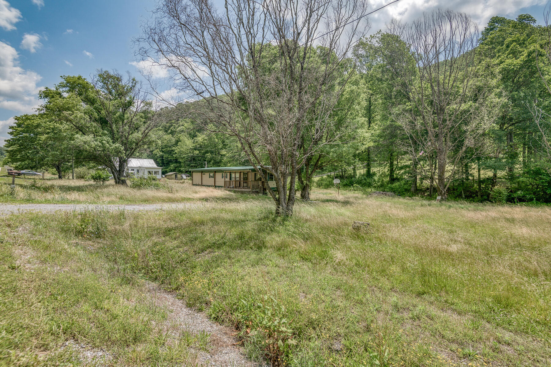 3436 Mendota Road Mendota, VA 24270 - Photo 1 of 12 3436 Mendota Rd 1