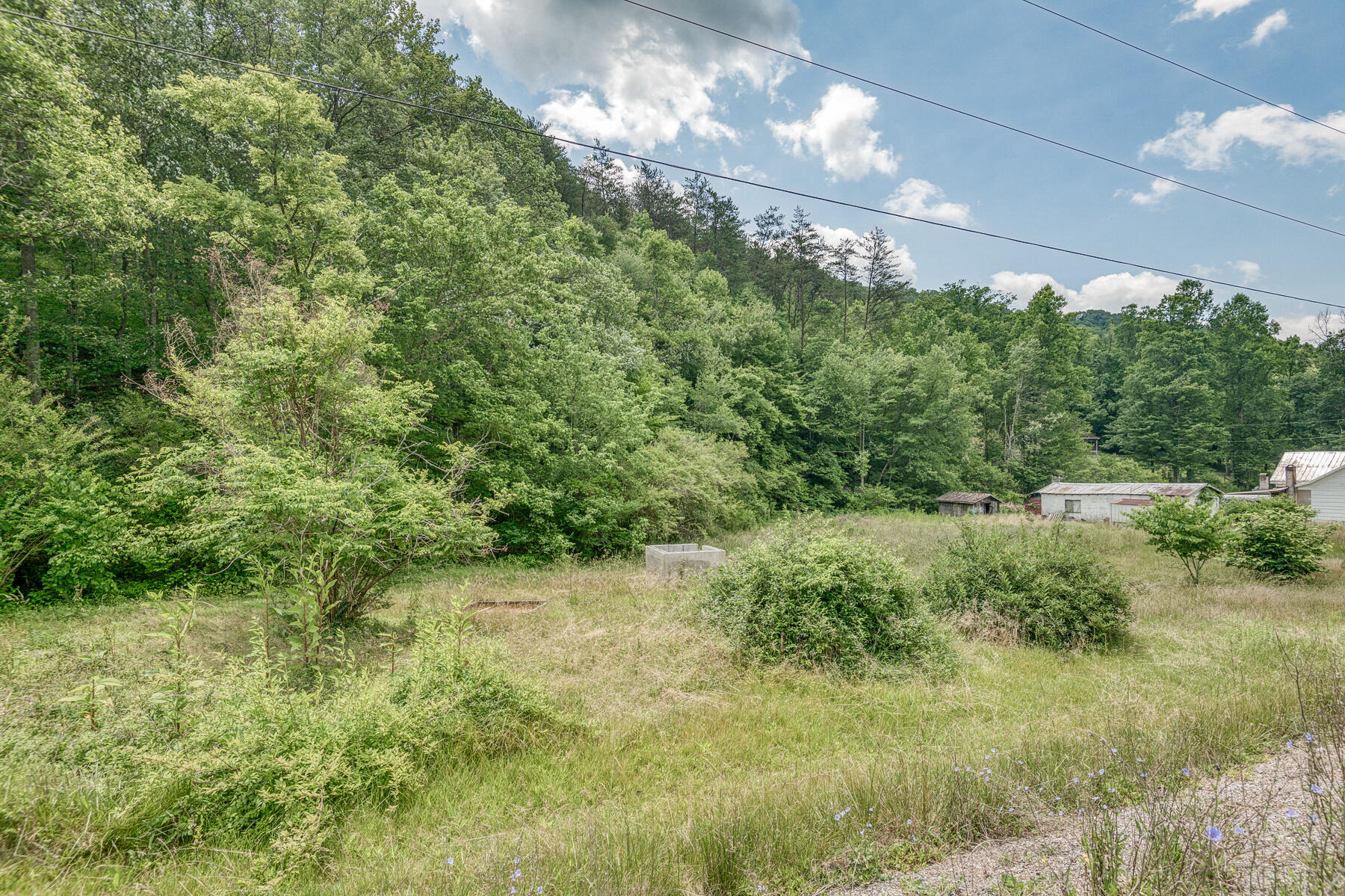 3436 Mendota Road Mendota, VA 24270 - Photo 11 of 12 3436 Mendota Rd 11