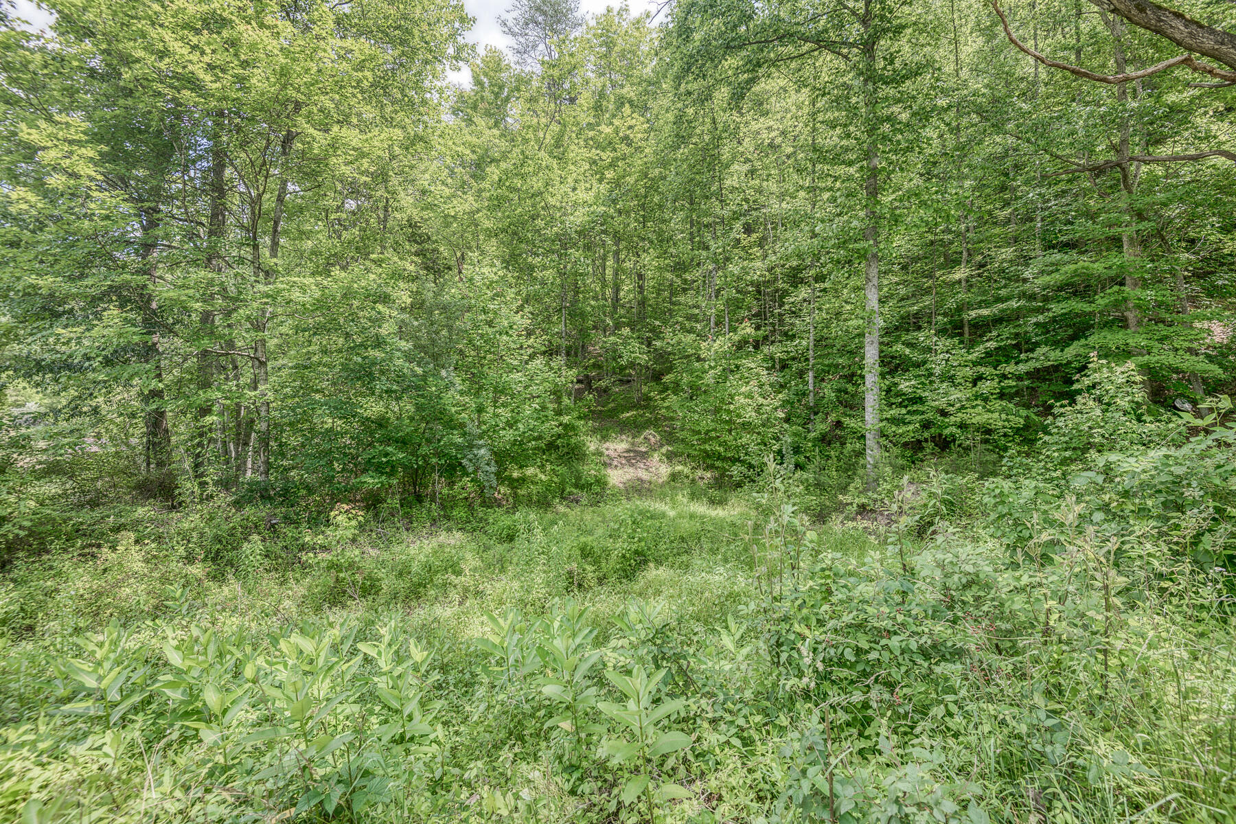 3436 Mendota Road Mendota, VA 24270 - Photo 6 of 12 3436 Mendota Rd 6
