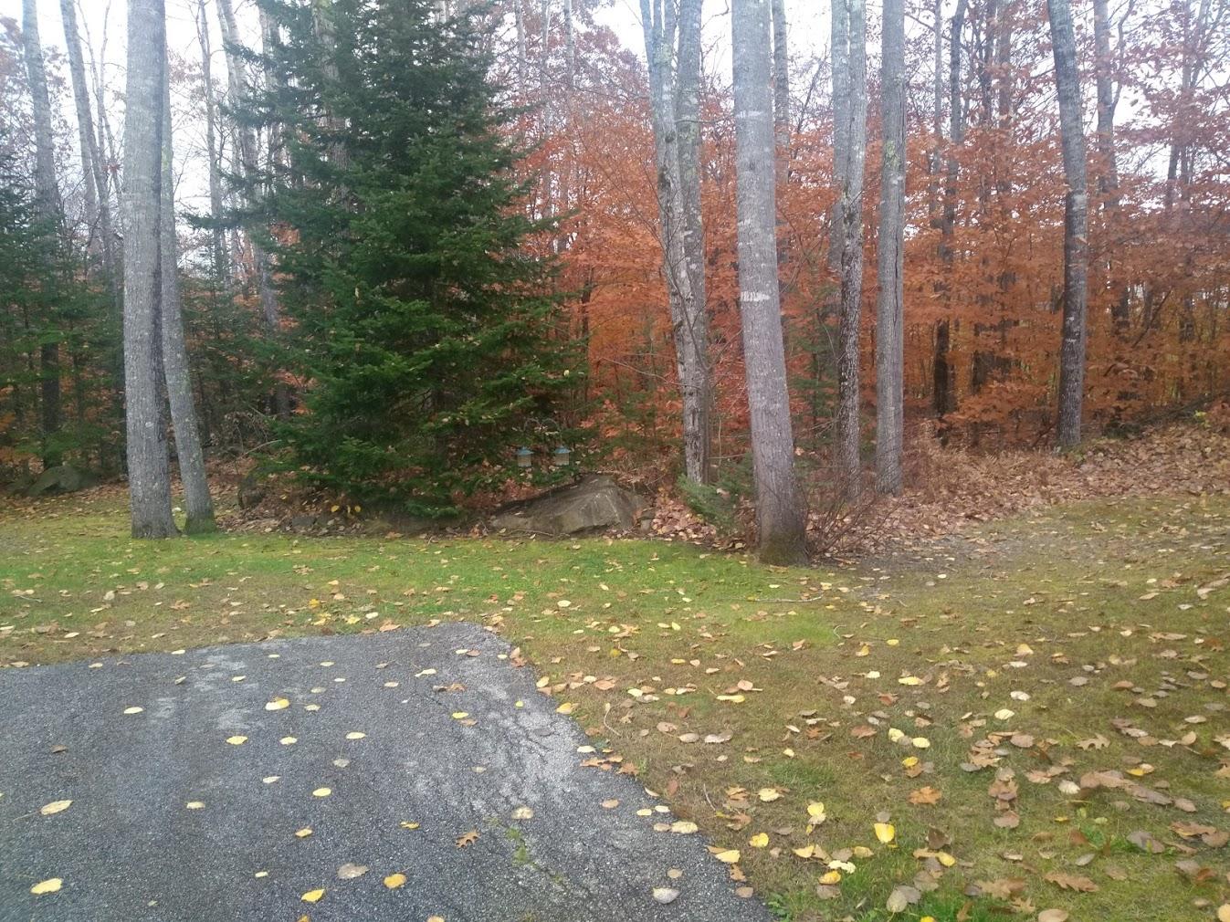 190 Cook Road Carmel, ME 04419 - Photo 15 of 46 190 Cook rd 22
