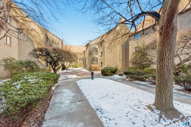 a view of a pathway with a yard