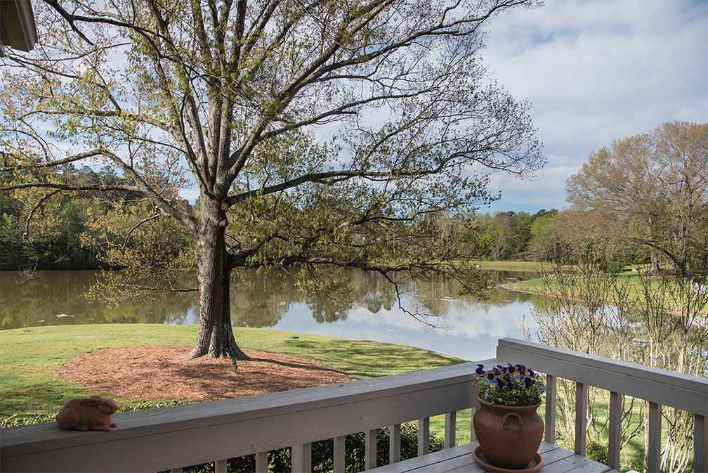 4027 Swarthmore Road Durham, NC 27707 - Photo 23 of 25 Back Yard