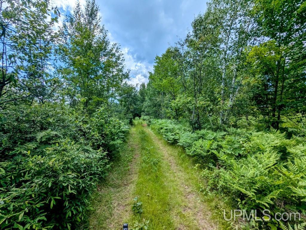 424 Rd Alpha Mi 49902 Road Alpha, MI 49902 - Photo 14 of 31