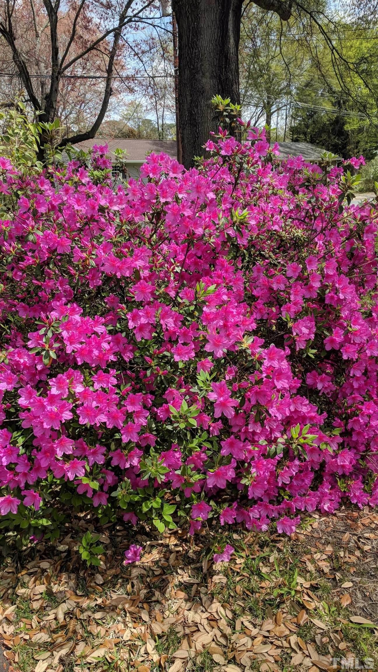 1713 Forest Road Durham, NC 27705 - Photo 29 of 35