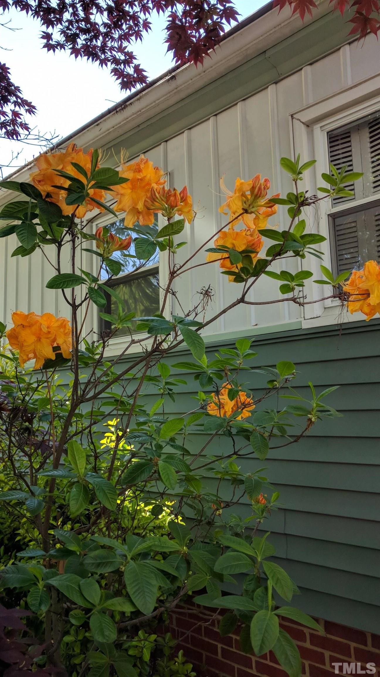 1713 Forest Road Durham, NC 27705 - Photo 30 of 35