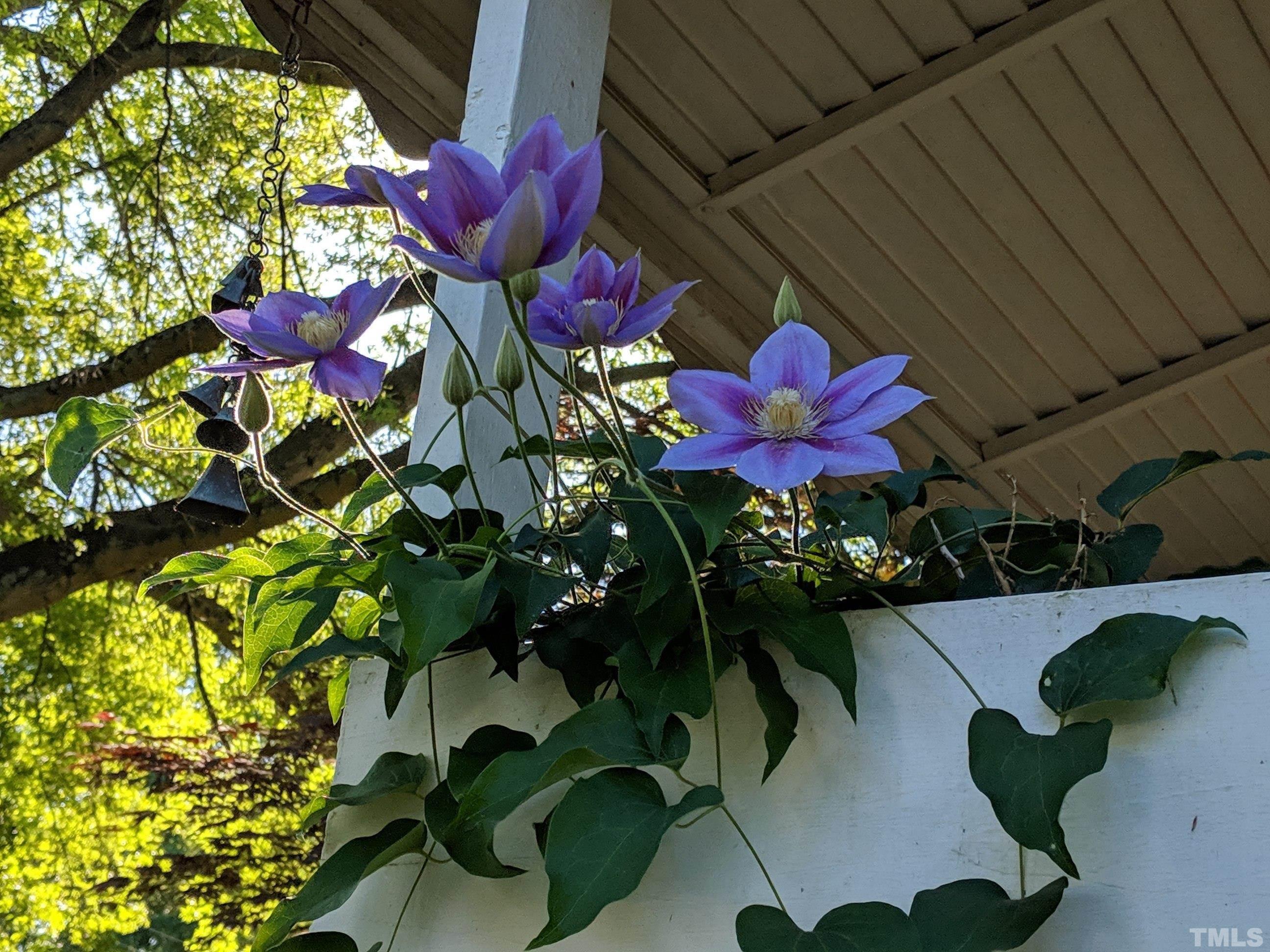 1713 Forest Road Durham, NC 27705 - Photo 31 of 35