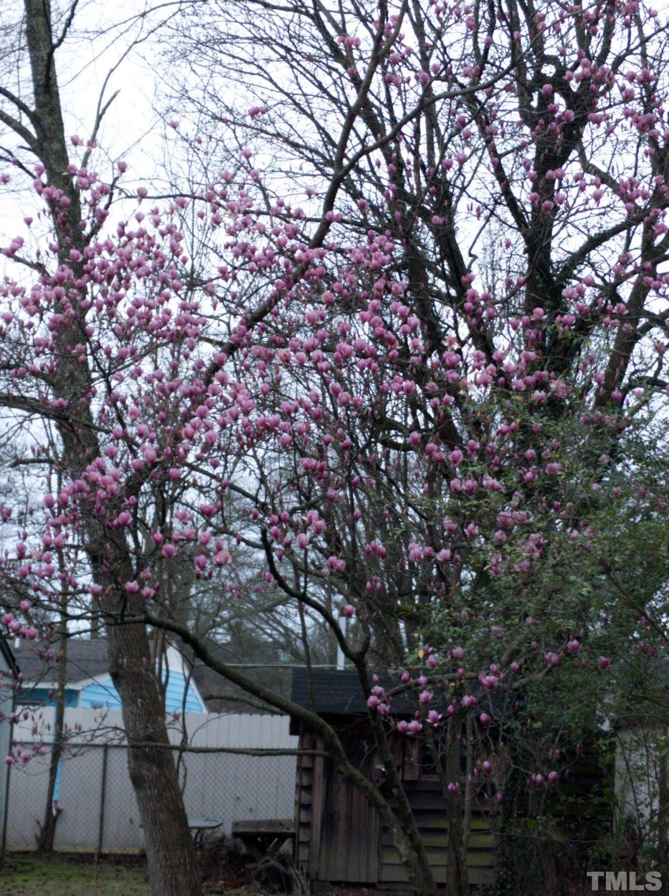 1713 Forest Road Durham, NC 27705 - Photo 32 of 35