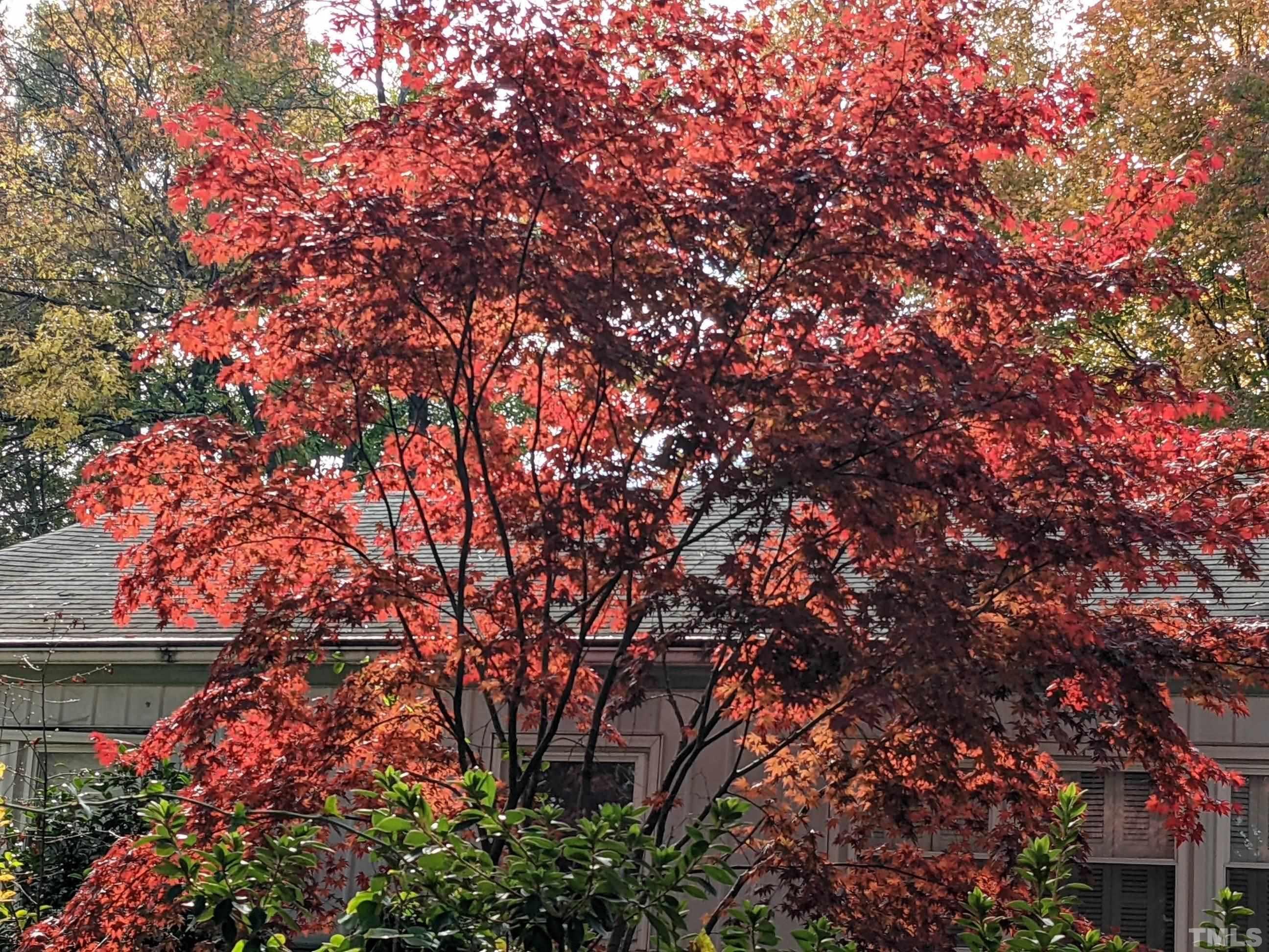 1713 Forest Road Durham, NC 27705 - Photo 33 of 35