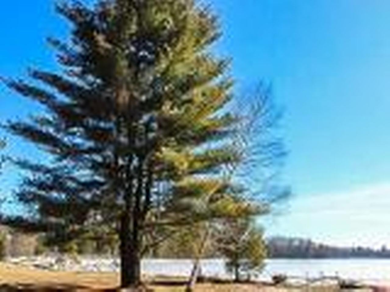 7895 North Alva Road, Unit W 34AC Lake Tomahawk, WI 54539 - Photo 8 of 13 Gallery Image 8