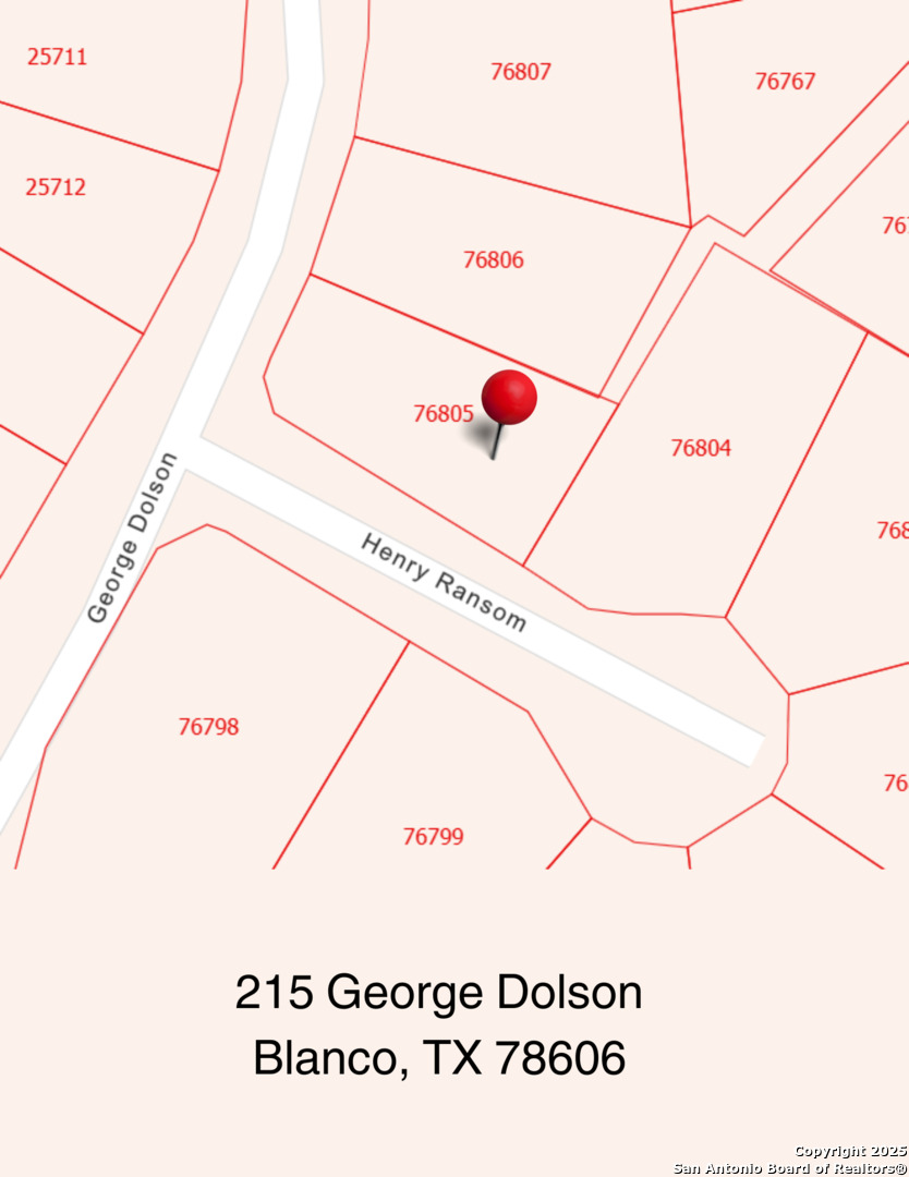215 George Dolson Blanco, TX 78606 - Photo 12 of 13