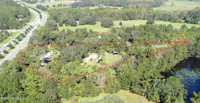 a view of a lush green forest with lots of trees