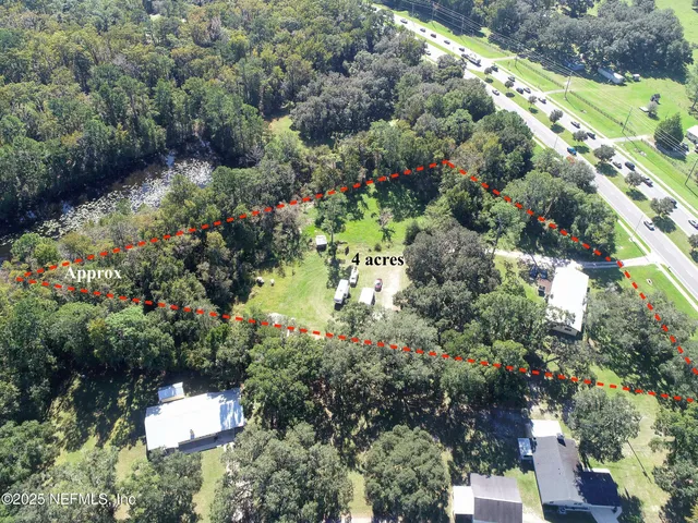 a view of a garden with plants