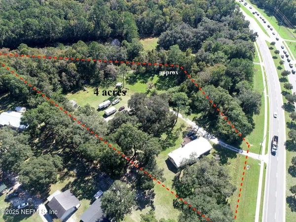 a view of a garden with plants