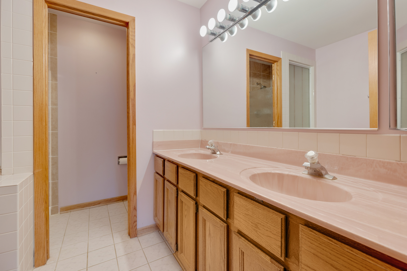 1950 Tanglewood Drive Algonquin, IL 60102 - Photo 18 of 34 a bathroom with a sink and a mirror