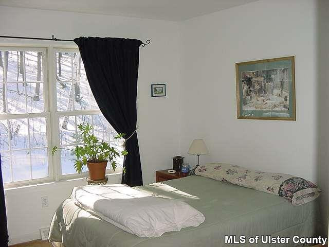 41 Long Cairo, NY 12413 - Photo 4 of 6 Photo 5