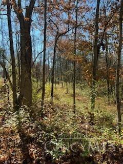 B Stephens Road Maineville, OH 45039 - Photo 3 of 5 Gallery Image 3