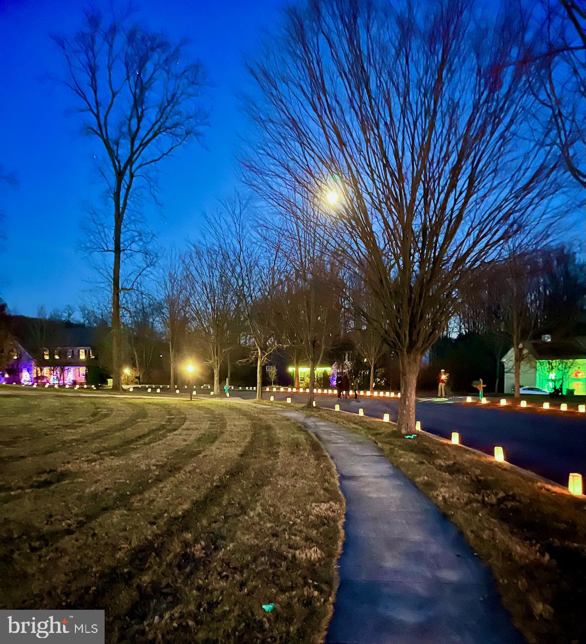 3505 Woodbyne Road Hellertown, PA 18055 - Photo 71 of 78 a view of a park that has a tree on the side of it