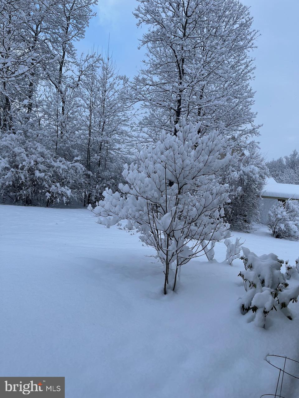 3505 Woodbyne Road Hellertown, PA 18055 - Photo 73 of 78 Owner's Season Photo