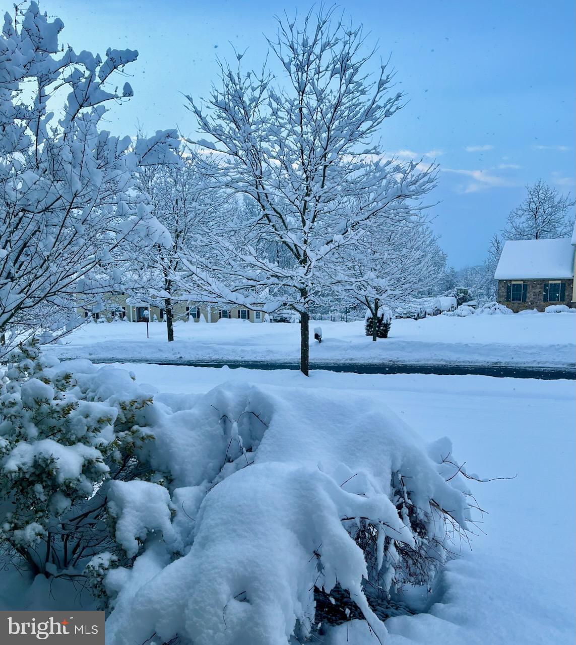 3505 Woodbyne Road Hellertown, PA 18055 - Photo 74 of 78 a view of street along with trees