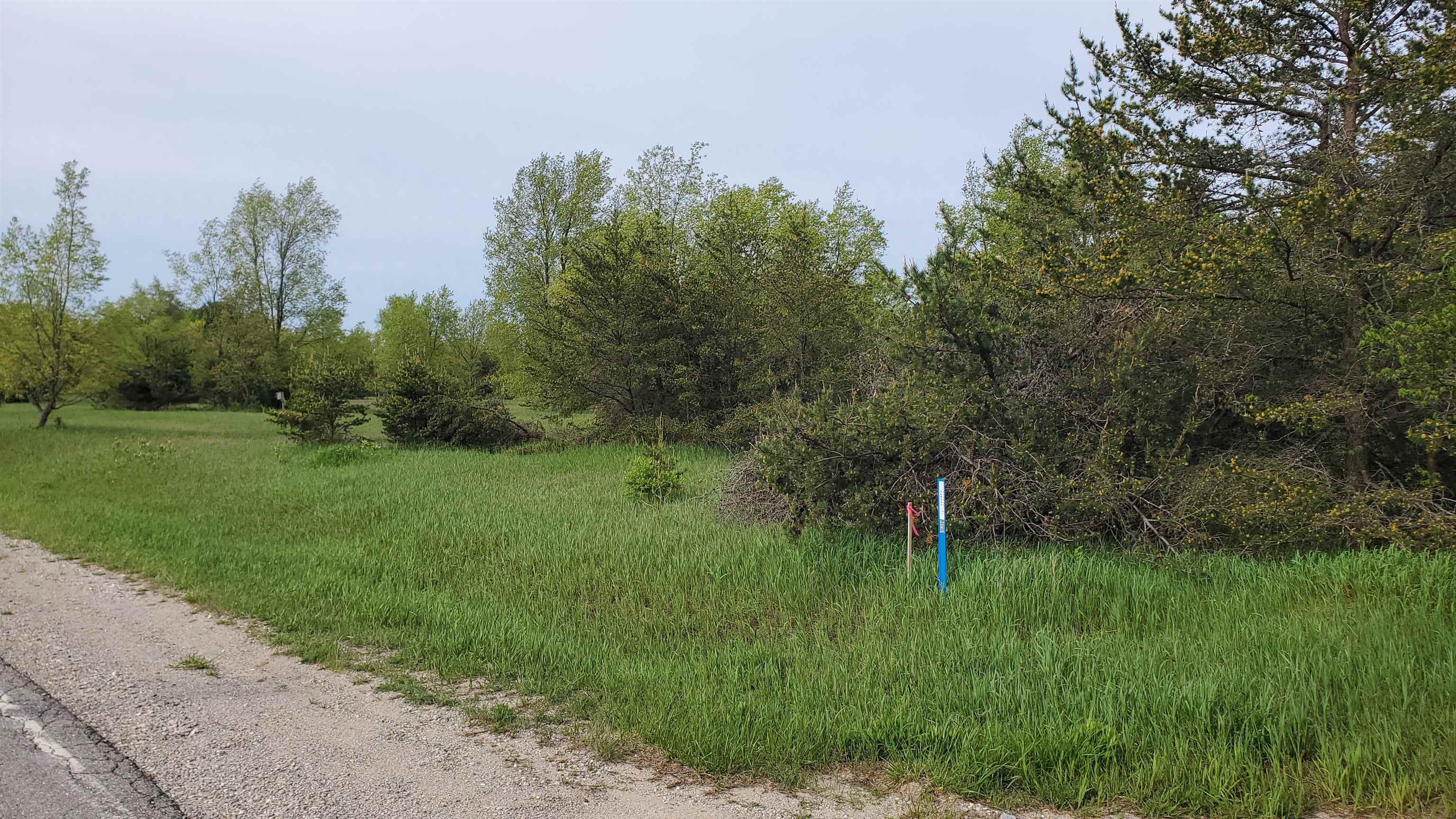 0 South Pioneer Road Beulah, MI 49617 - Photo 3 of 8