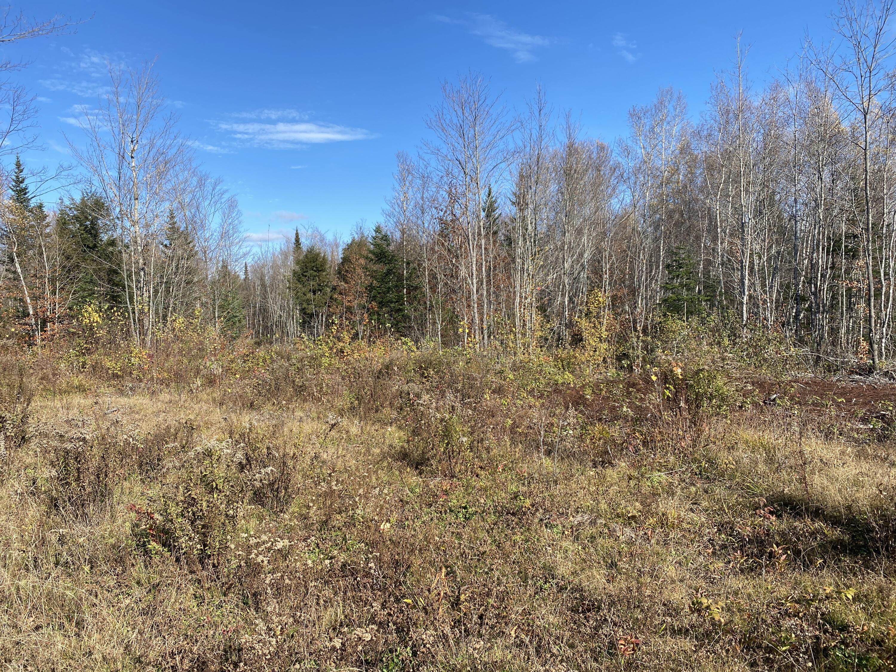 M8-l39 Corbett Road Lee, ME 04455 - Photo 15 of 16 Photo Oct 28, 12 52 04 PM