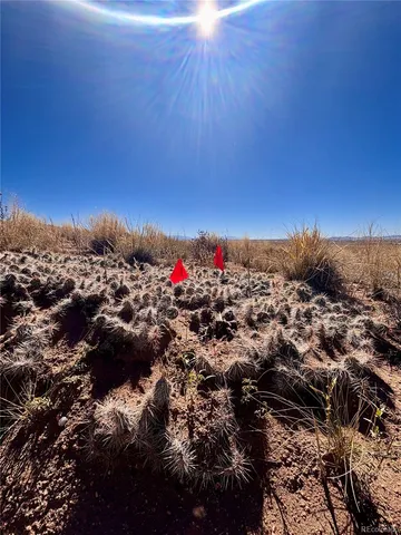 $8,500 | Lot 8 10th Street, Blanca, CO 81123