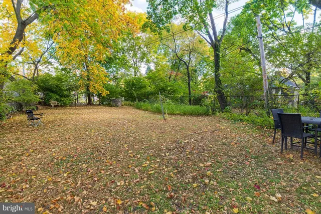 a view of a yard with plants and trees