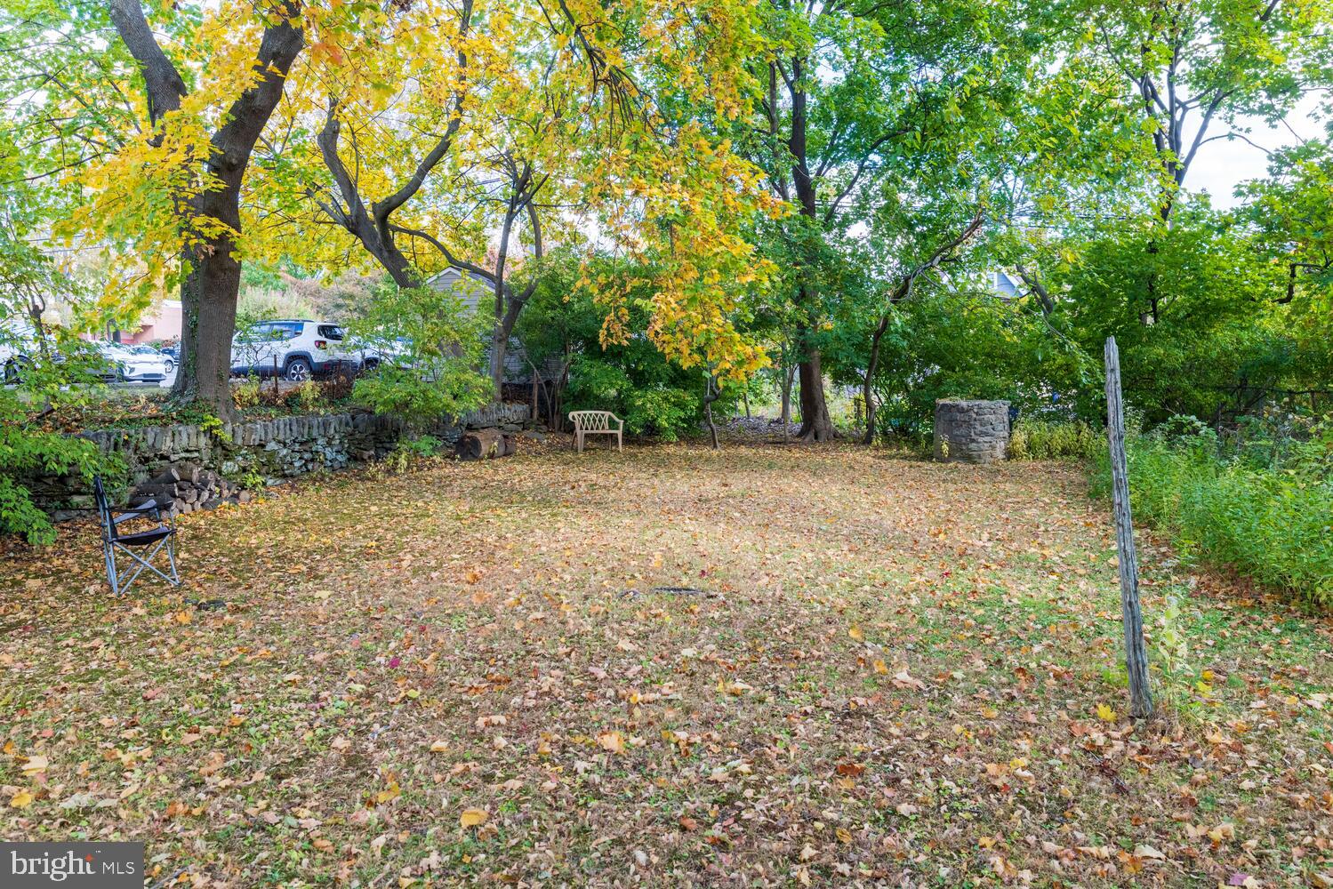 304 Florence Avenue Jenkintown, PA 19046 - Photo 30 of 31 a view of a yard with plants and trees