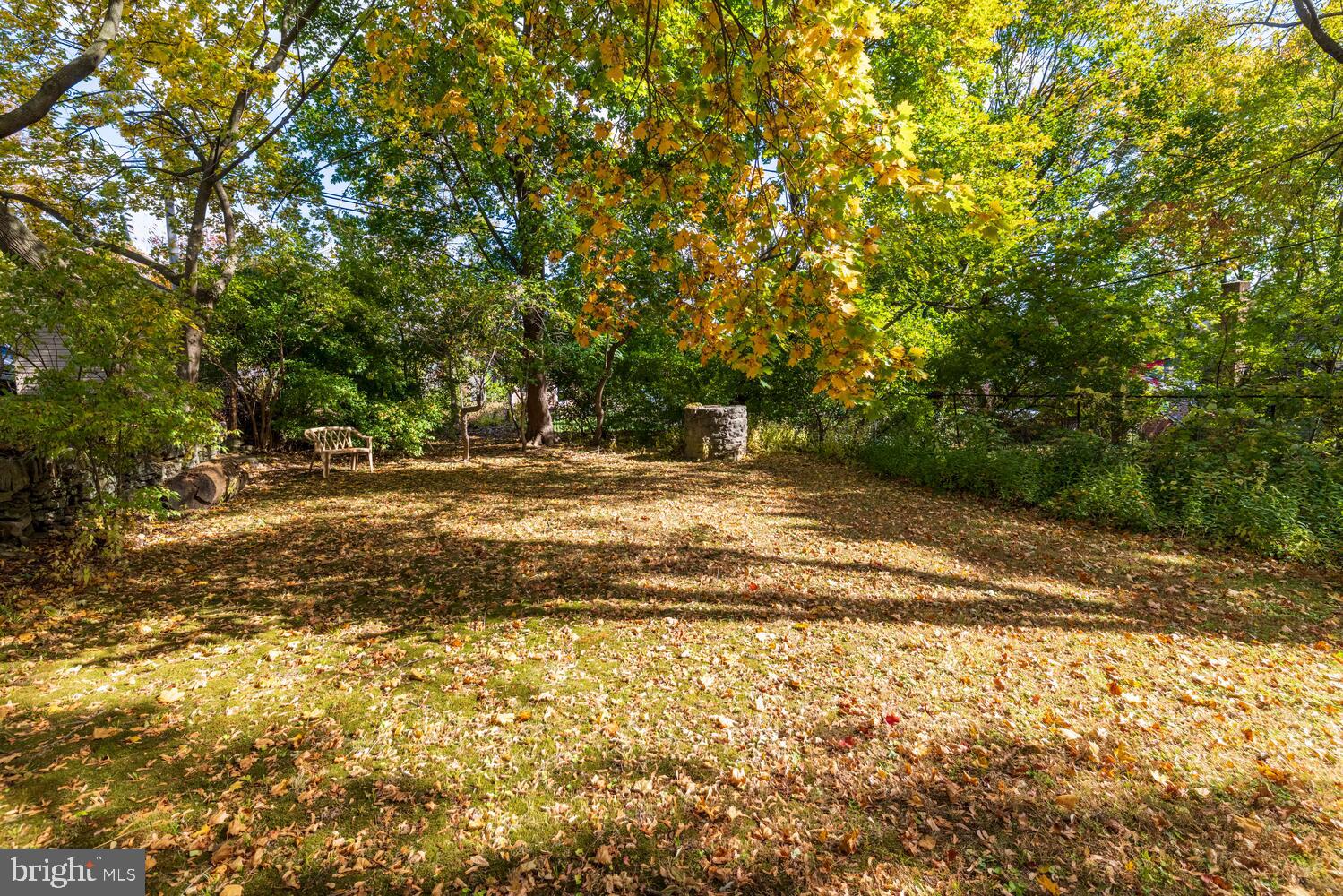 304 Florence Avenue Jenkintown, PA 19046 - Photo 31 of 31 a view of a yard with a trees