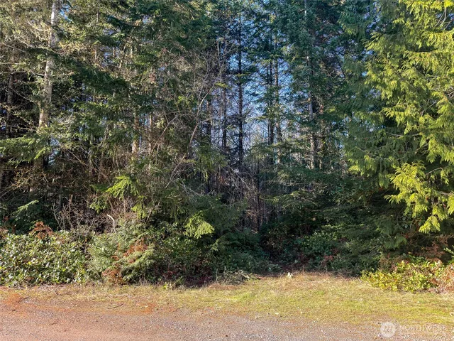 $125,000 | 999 Old Coyle Road, Quilcene, WA 98376