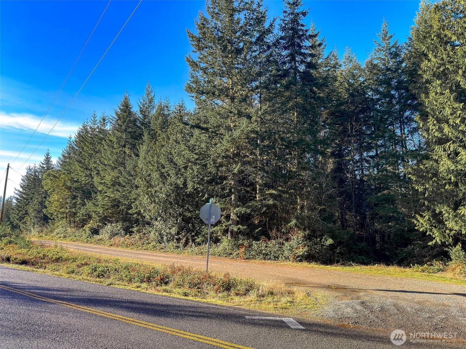 999 Old Coyle Road Quilcene, WA 98376 - Photo 5 of 11