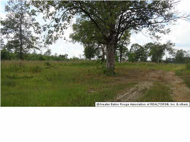 0 Chisholm Road Summit, MS 39666 - Photo 2 of 4