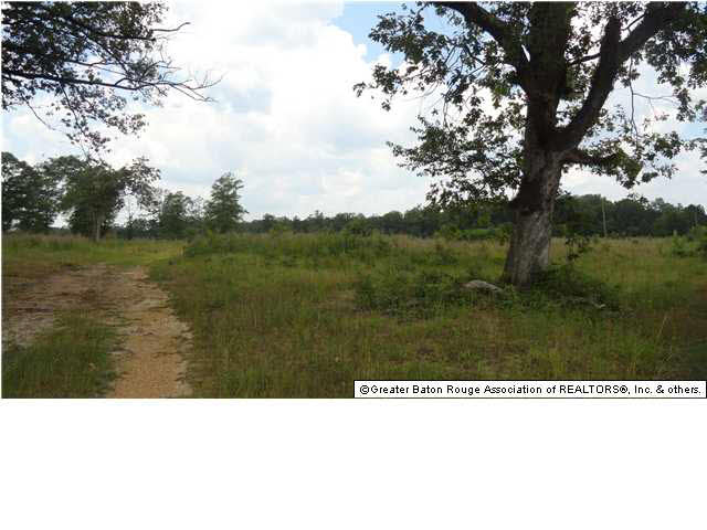 0 Chisholm Road Summit, MS 39666 - Photo 3 of 4