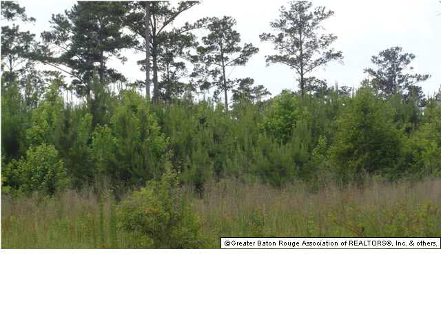 0 Chisholm Road Summit, MS 39666 - Photo 4 of 4
