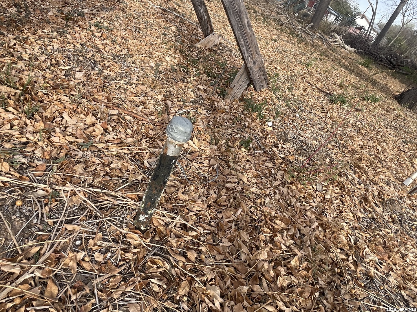 712 Devine Drive Devine, TX 78016 - Photo 3 of 5