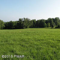 Ayoub Road Pleasant Mount, PA 18453 - Photo 8 of 8
