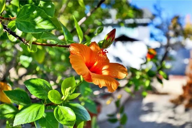 $5,300 | 23561 Duryea Drive, Lake Forest, CA 92630