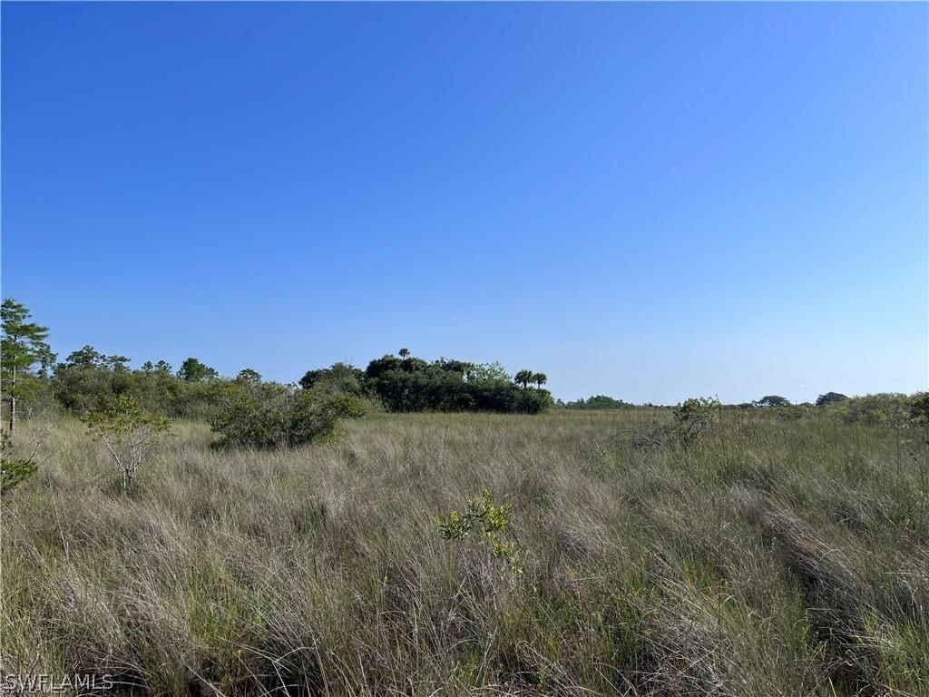 Sr-29 Naples, FL 34117 - Photo 4 of 9 a view of a city with lush green forest