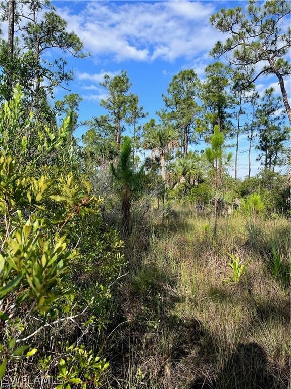Sr-29 Naples, FL 34117 - Photo 5 of 9 a view of a garden